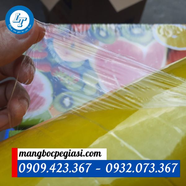 màng bọc thực phẩm mua giá rẻ ở đâu màng bọc thực phẩm mua giá rẻ ở đâu