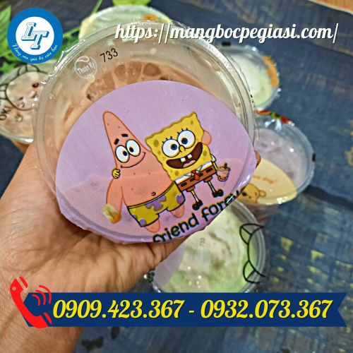 Màng ép ly in họa tiết sẵn