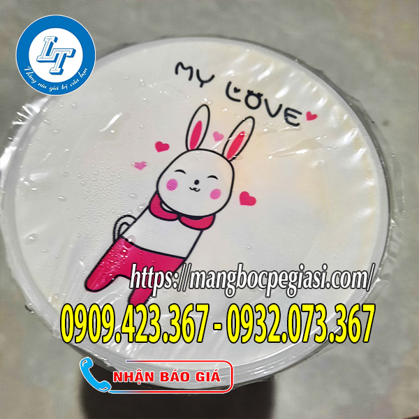 Màng ép ly in họa tiết hoạt hình Màng ép ly in họa tiết hoạt hình