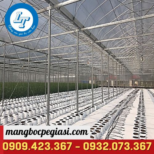 Mô hình nhà kính chất lượng cao Mô hình nhà kính chất lượng cao