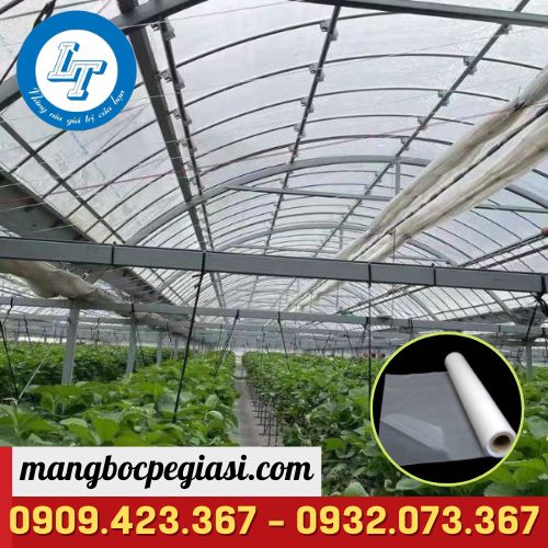 Màng nhà kính chất lượng cao trồng rau sạch Màng nhà kính chất lượng cao trồng rau sạch
