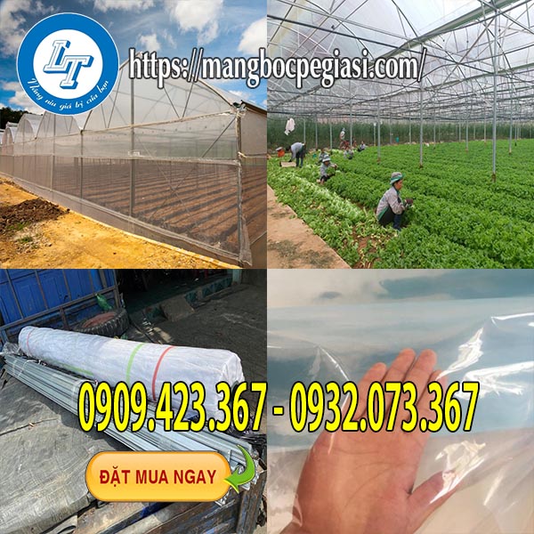 Màng nilon nhà kính chất lượng cao Màng nilon nhà kính chất lượng cao