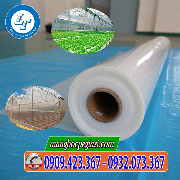 Màng nilon nhà kính israel chính hãng Màng nilon nhà kính israel chính hãng