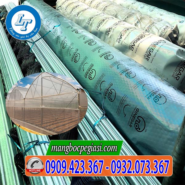 Màng nilon nhà kính israel chính hãng giá tốt Màng nilon nhà kính israel chính hãng giá tốt
