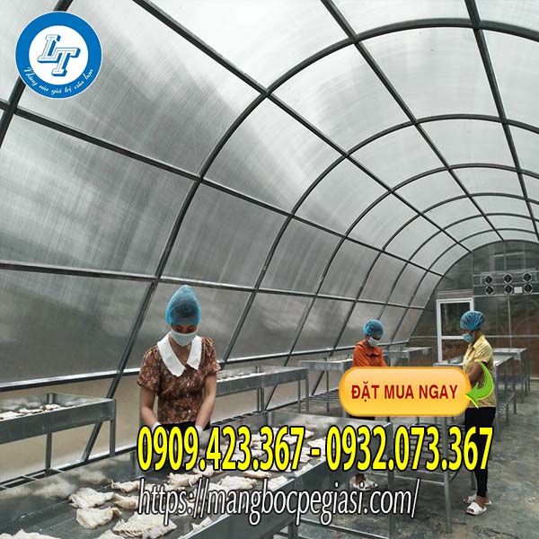 Màng nilon nhà kính phơi bún Màng nilon nhà kính phơi bún