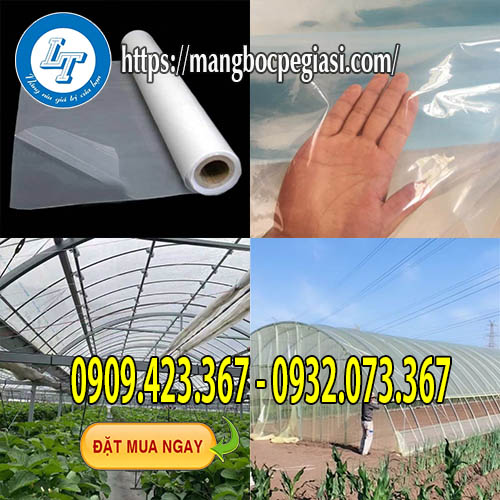 Màng nilon nhà kính Việt Nam giá tốt Màng nilon nhà kính Việt Nam giá tốt