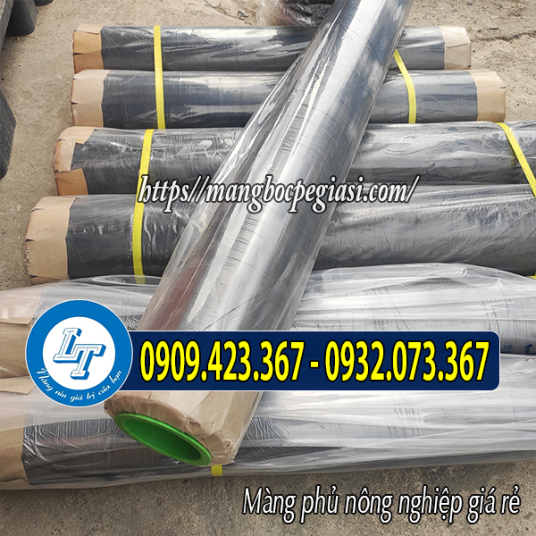 Màng nilon phủ đất giá sỉ Màng nilon phủ đất giá sỉ