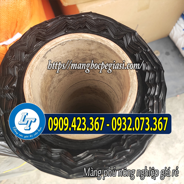 Màng nilon phủ đất nông nghiệp Màng nilon phủ đất nông nghiệp