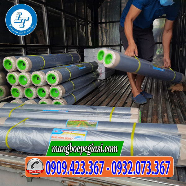 Màng phủ nông nghiệp màu đen