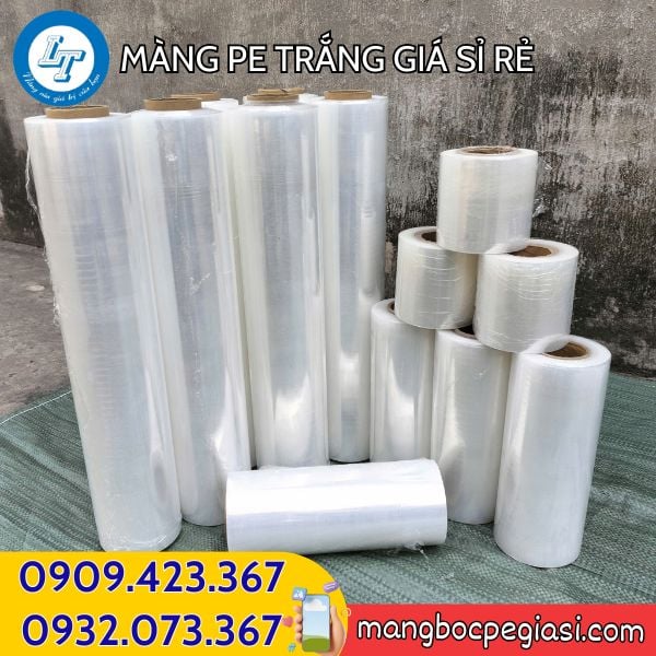 Sỉ màng PE nhiều kích cỡ Sỉ màng PE nhiều kích cỡ