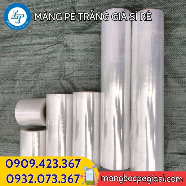 Sỉ màng PE nhiều kích cỡ Sỉ màng PE nhiều kích cỡ