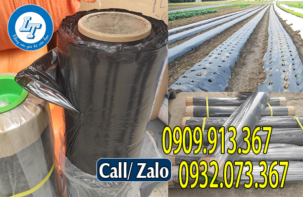 Màng phủ đất giá sỉ Màng phủ đất giá sỉ