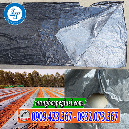 Màng phủ nông nghiệp đục lỗ giá tốt Màng phủ nông nghiệp đục lỗ giá tốt