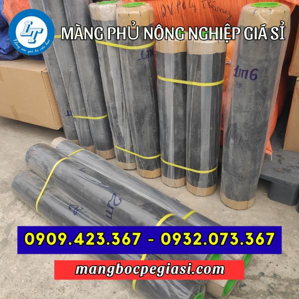 Màng phủ nông nghiệp nhiều kích cỡ Màng phủ nông nghiệp nhiều kích cỡ