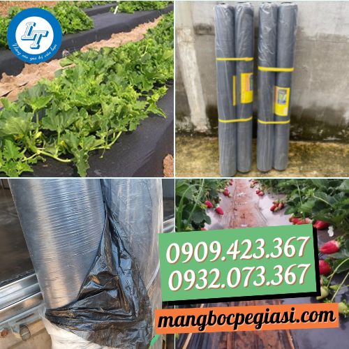 Màng phủ nông nghiệp màu đen 1m6 giá rẻ Màng phủ nông nghiệp màu đen 1m6 giá rẻ