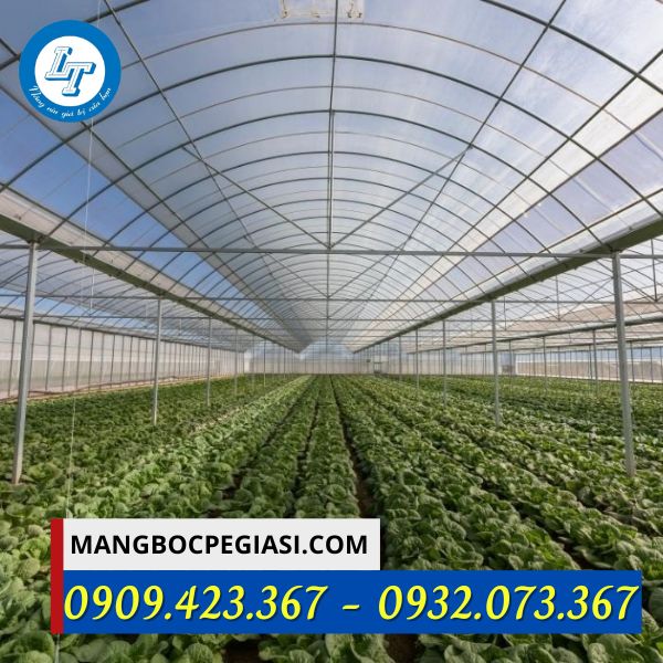 Mô hình nhà kính kín Mô hình nhà kính kín