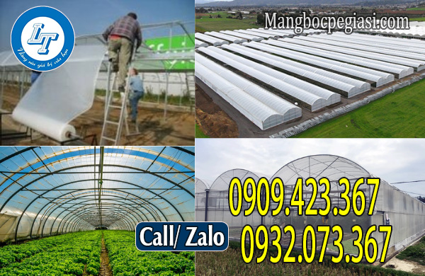 Mô hình nhà kính hiện đại Mô hình nhà kính hiện đại