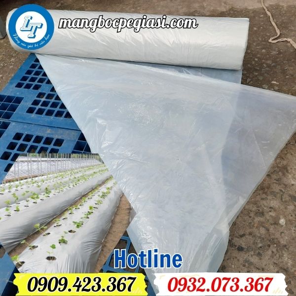 mua sỉ số lượng lớn màng phủ nông nghiệp màu trắng mua sỉ số lượng lớn màng phủ nông nghiệp màu trắng
