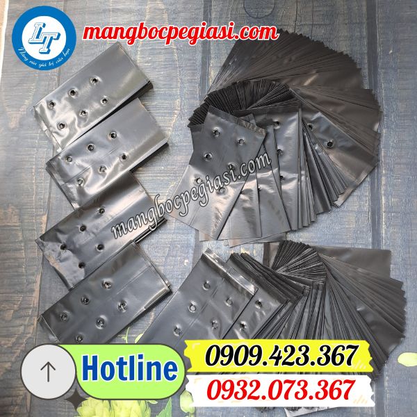 mua túi bầu ươm cây giá sỉ rẻ ở đâu mua túi bầu ươm cây giá sỉ rẻ ở đâu
