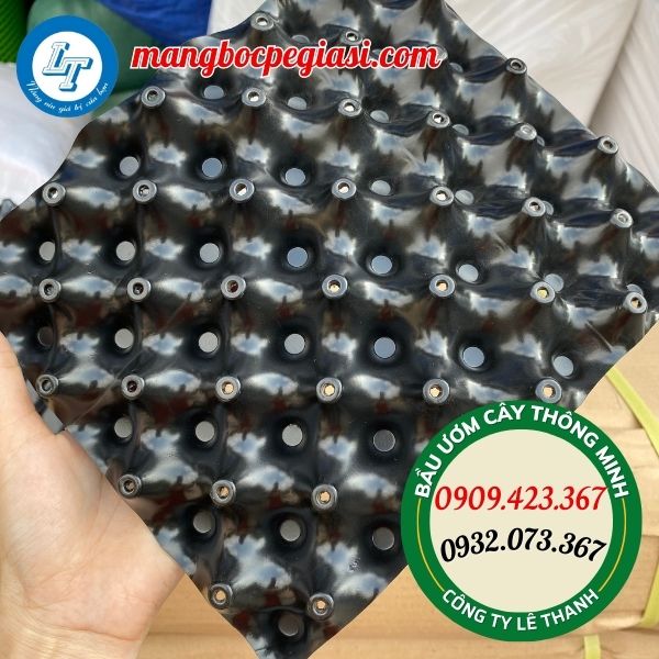 bầu ươm cây giống thông minh v6 bầu ươm cây giống thông minh v6
