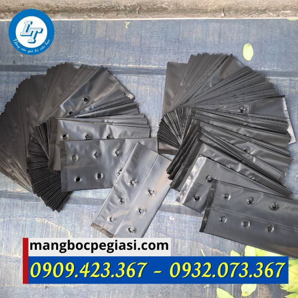 xưởng xản xuất và cung cấp túi ươm cây giá rẻ cho nhà vườn xưởng xản xuất và cung cấp túi ươm cây giá rẻ cho nhà vườn