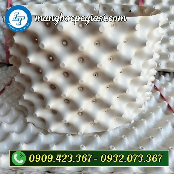 Bầu ươm cây thông minh màu trắng Bầu ươm cây thông minh màu trắng