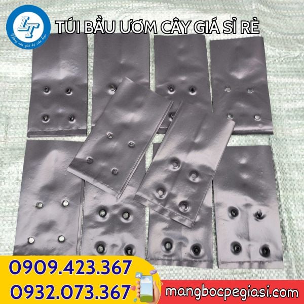 Túi bầu ươm cây giống