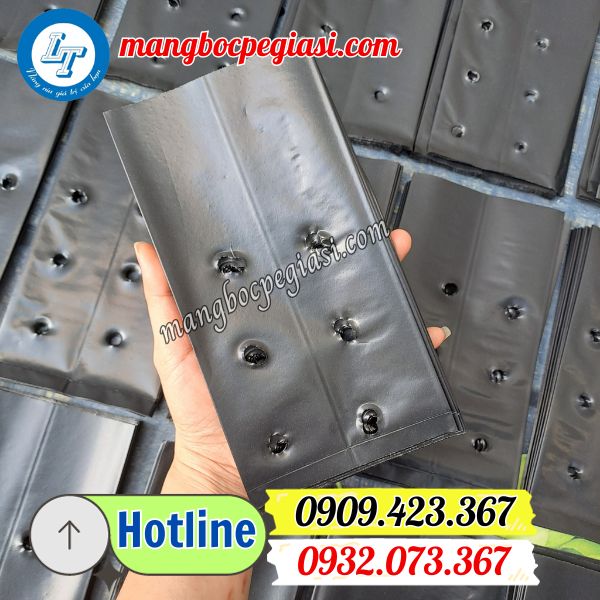 sản xuất và phân phối sỉ lẻ túi bầu ươm cây giá rẻ tphcm và tiền giang sản xuất và phân phối sỉ lẻ túi bầu ươm cây giá rẻ tphcm và tiền giang