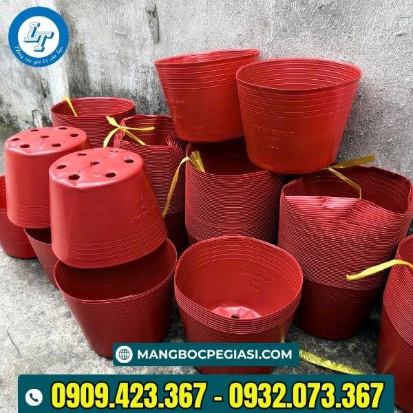 Chậu nhựa C9 số lượng lớn tại kho Chậu nhựa C9 số lượng lớn tại kho