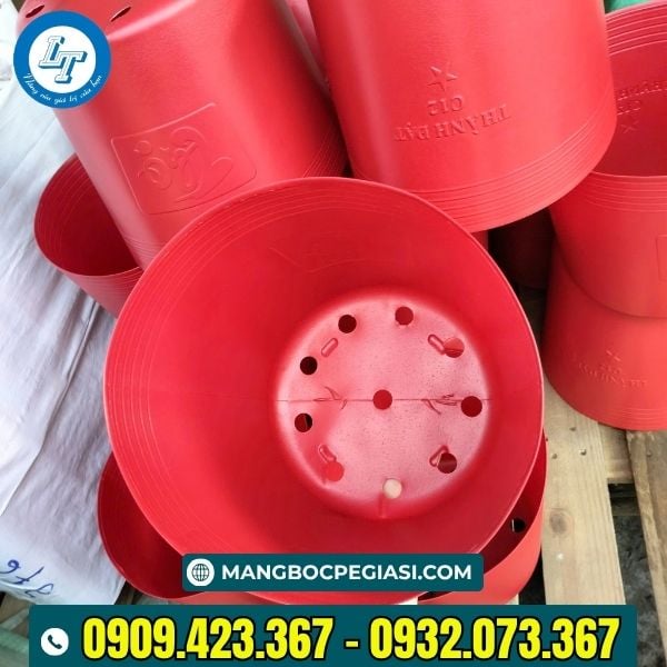 Chậu nhựa dẻo trồng cây