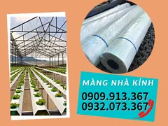 CUỘN NILON LÀM NHÀ KÍNH GIÁ SỈ BAO NHIÊU?