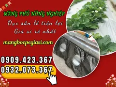XƯỞNG BÁN MÀNG NÔNG NGHIỆP ĐỤC SẴN LỖ GIÁ SỈ
