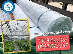 Bán sỉ và lẻ màng nhà kính giá tốt miền Nam