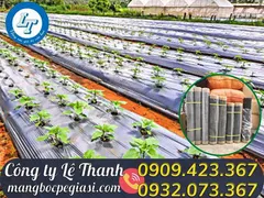 Nhà cung cấp màng phủ nông nghiệp giá sỉ nên mua