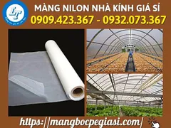 Bán màng nilon nhà kính chất lượng sản xuất tại Việt Nam