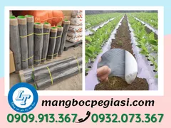 NGUỒN SỈ MÀNG PHỦ NÔNG NGHIỆP