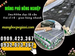 ĐẠI LÝ MÀNG PHỦ NÔNG NGHIỆP 2M ĐỤC LỖ GIÁ RẺ TẠI TPHCM