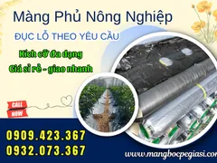 Màng phủ nông nghiệp đục lỗ sẵn giá sỉ cho nhà vườn