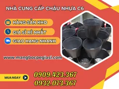 BÁN BUÔN CHẬU NHỰA C6 ƯƠM CÂY GIÁ RẺ TẬN GỐC
