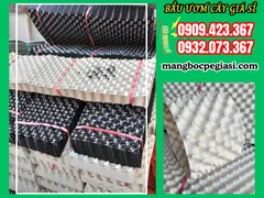 TẤM NHỰA QUẤN BẦU CÂY NHIỀU KÍCH CỠ BỎ SỈ GIÁ RẺ