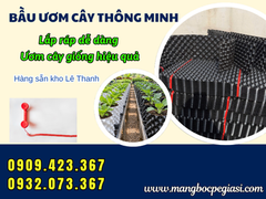 Kho Sỉ Bầu Ươm Cây Nhiều Màu Giá Rẻ Sẵn Hàng