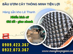 Bầu Ươm Cây V6 Giá Sỉ - Nhận Đặt Kích Thước Theo Yêu Cầu