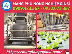 Bán lẻ cuộn nilon phủ đất nông nghiệp tại TpHCM