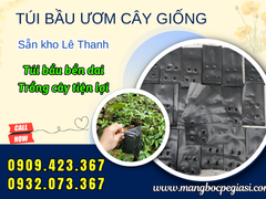 Túi bầu ươm cây giá sỉ rẻ nhất thị trường