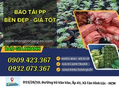 ĐỊA CHỈ LẤY SỈ BAO TẢI ĐÓNG HÀNG TẾT GIÁ RẺ CẠNH TRANH