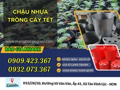 XƯỞNG BÁN SỈ CHẬU NHỰA DẺO TRỒNG CÂY TRANG TRÍ TẾT 2026