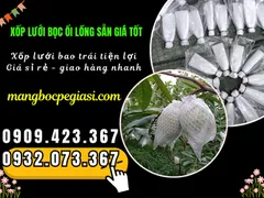 MUA SỈ XỐP BỌC ỔI LỒNG SẴN GIÁ XƯỞNG