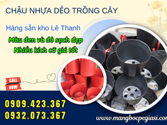 Đại Lý Chậu Nhựa Dẻo Trồng Cây Nhiều Kích Cỡ Giá Sỉ
