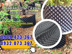 BÁN TẤM BẦU ƯƠM V6 RỘNG 50CM DÀI 50M GIÁ RẺ