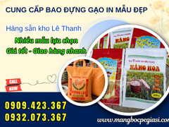 Kho Sỉ Bao Gạo 10kg In Sẵn Nhiều Mẫu, Có Loại Quai Xách